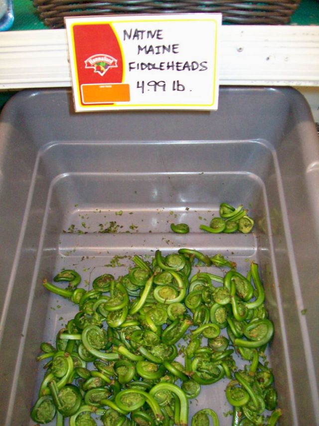 fiddleheads pic2 Yes, they have value