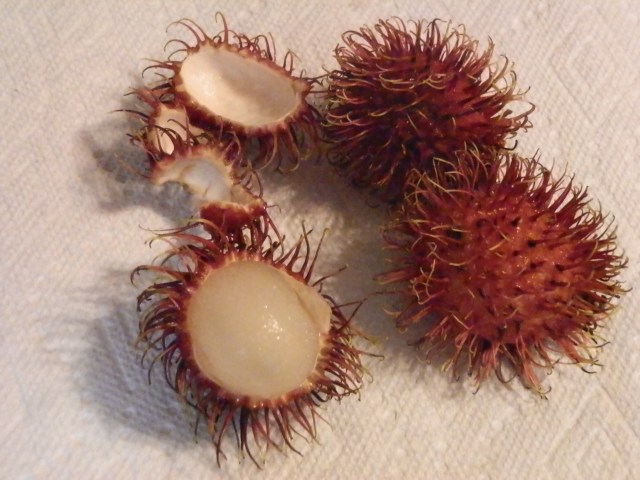 rambutan fruits